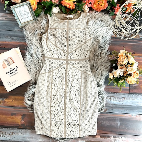Maggy London Dresses & Skirts - Maggy London fitted Ivory Lace Dress with Beige Piping Shift Dress, 6